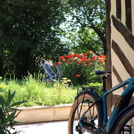 L'herbe Haute * Honfleur