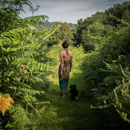 L'herbe Haute Oda ve Kahvaltı Honfleur