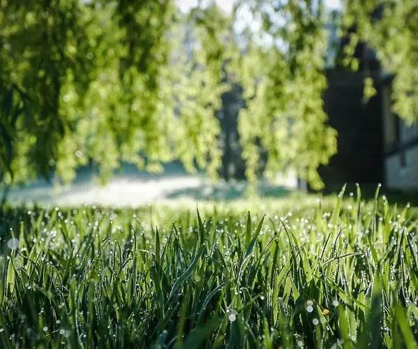 L'herbe Haute Honfleur