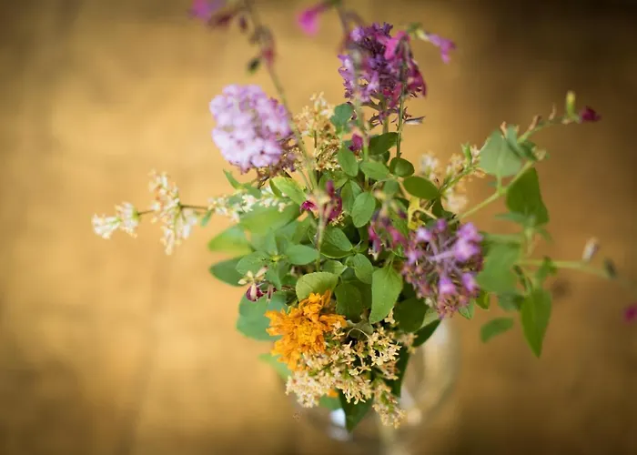 L'herbe Haute Honfleur